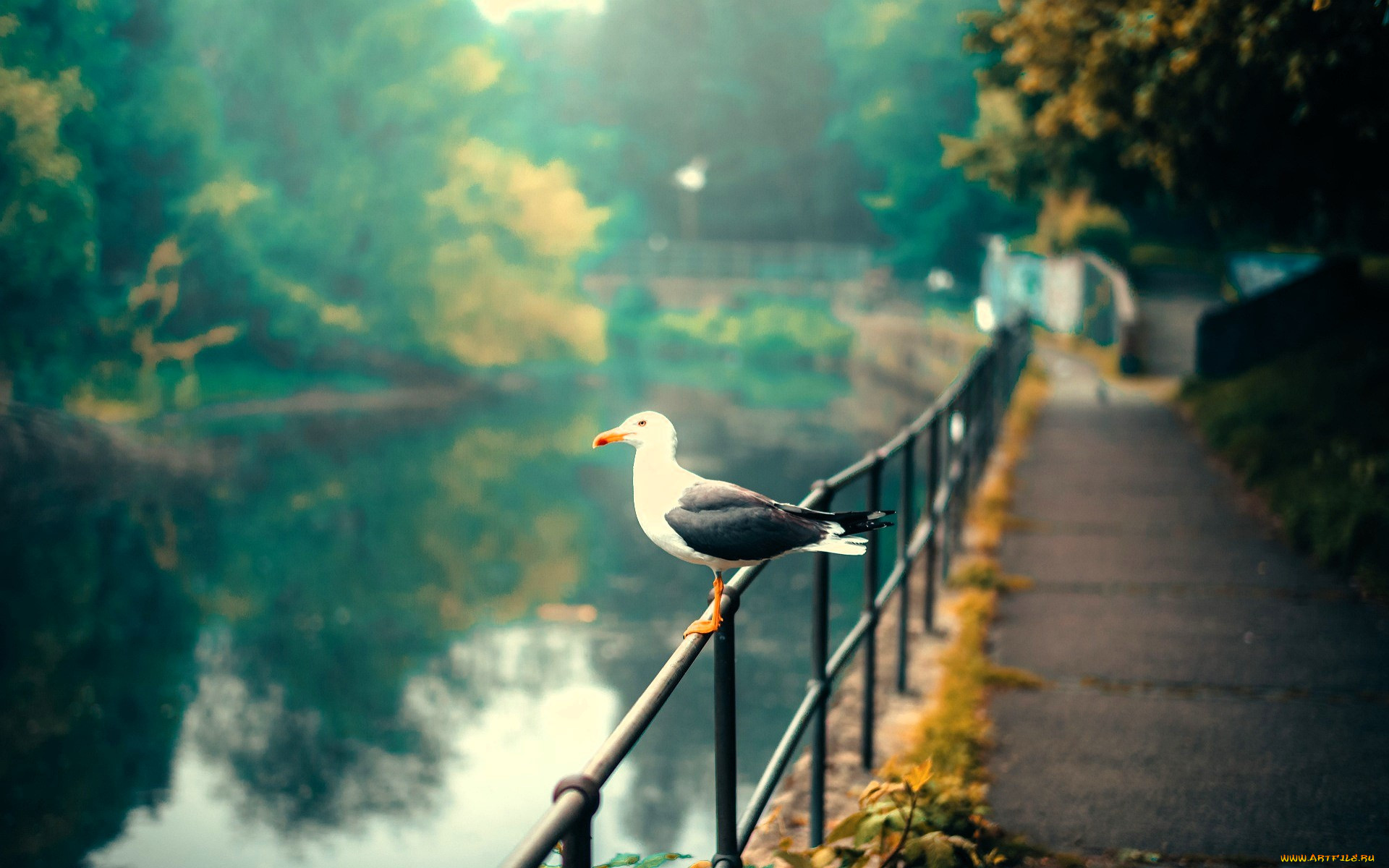 , ,  ,  , , , , , , , 